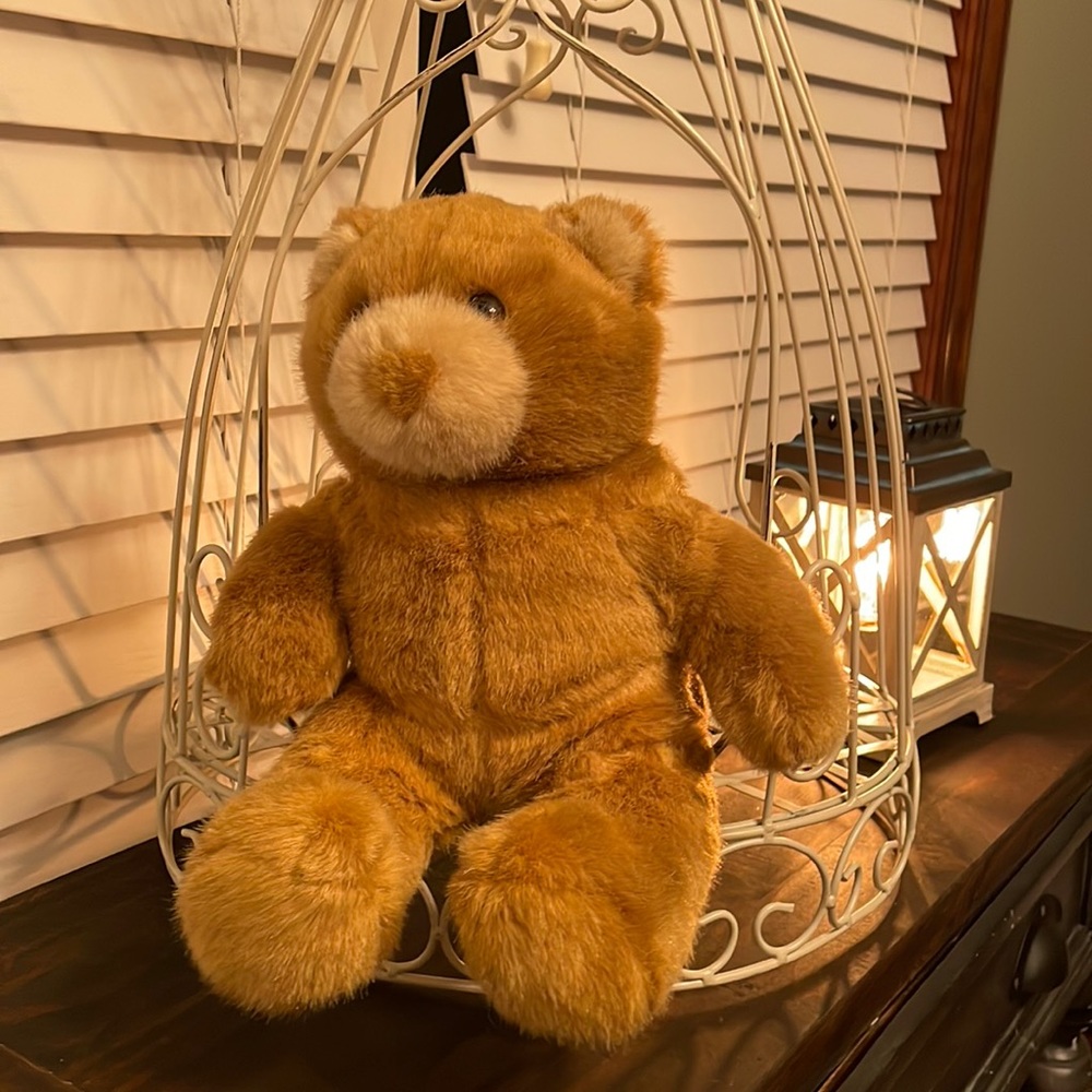 Build-A-Bear brown bear.